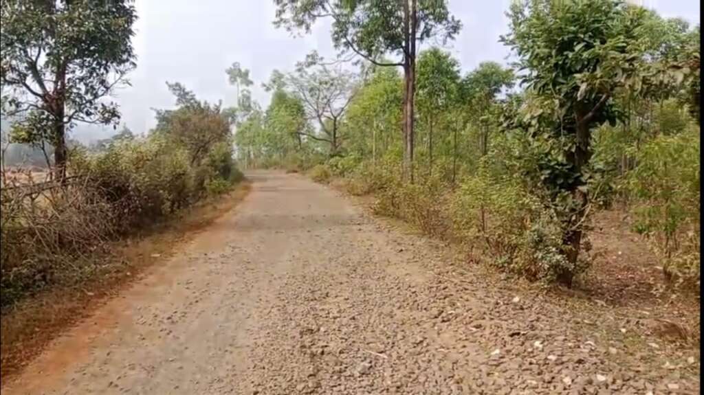 पाटपन्हाळा रस्ता कागदावरच….