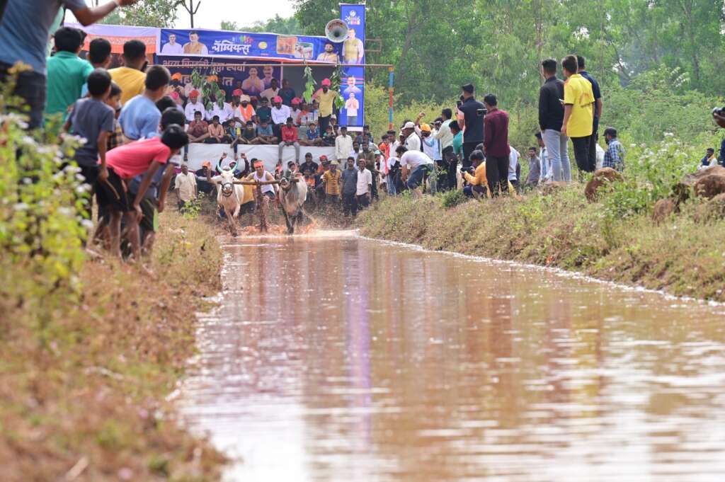 बळीराजाचा उत्साह वाढवण्यासाठी धनंजय महाडिक युवाशक्तीच्यावतीने भुदरगड तालुक्यातील नितवडे इथे झाली चिखल गुठ्ठा स्पर्धा, दमदार पशूधनासह शेतकर्‍यांचा उदंड प्रतिसाद...