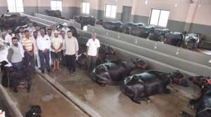 87d820e8-9f3a-42ae-8e33-338ad032e088